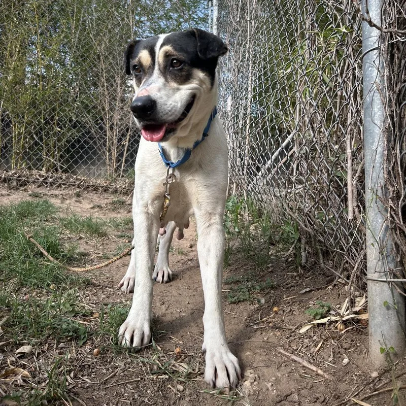 Regina George thumbnail 3