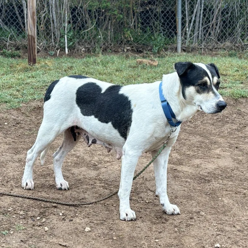 Regina George thumbnail 4