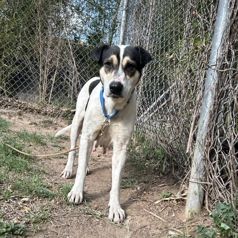 Regina George thumbnail 5