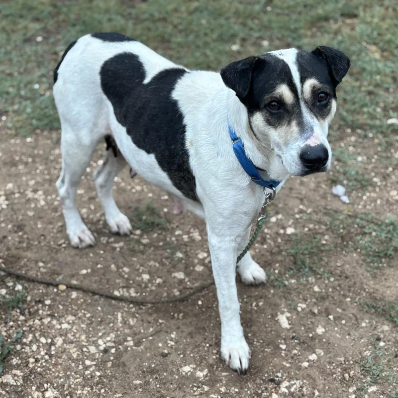 Regina George thumbnail 6