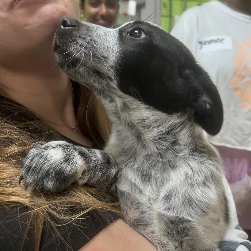 Coconut Cutie thumbnail 2