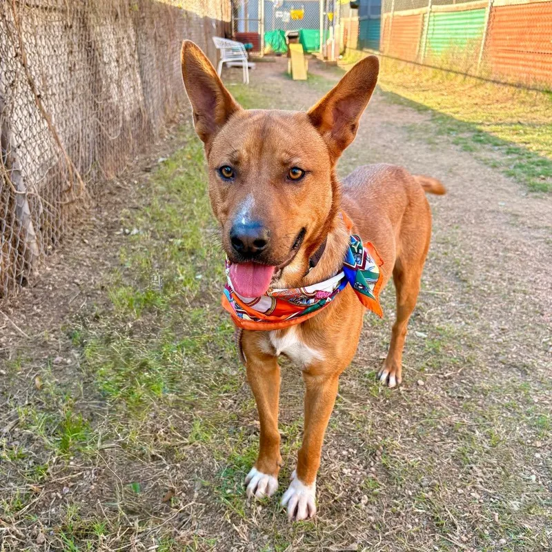 Kelloggs thumbnail 5