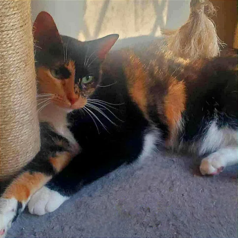 Nineties Heartthrob thumbnail 3