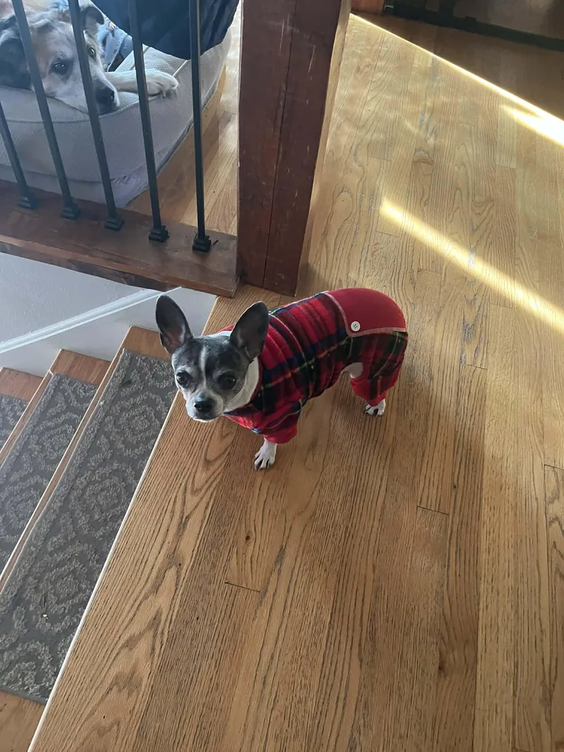 Gia  Bonded With thumbnail 2