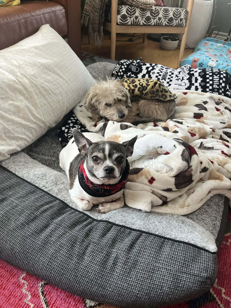 Gia  Bonded With thumbnail 4