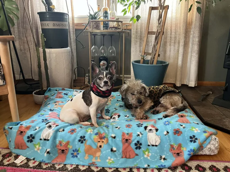 Gia  Bonded With thumbnail 5