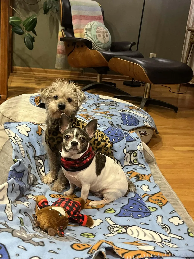 Gia  Bonded With thumbnail 6