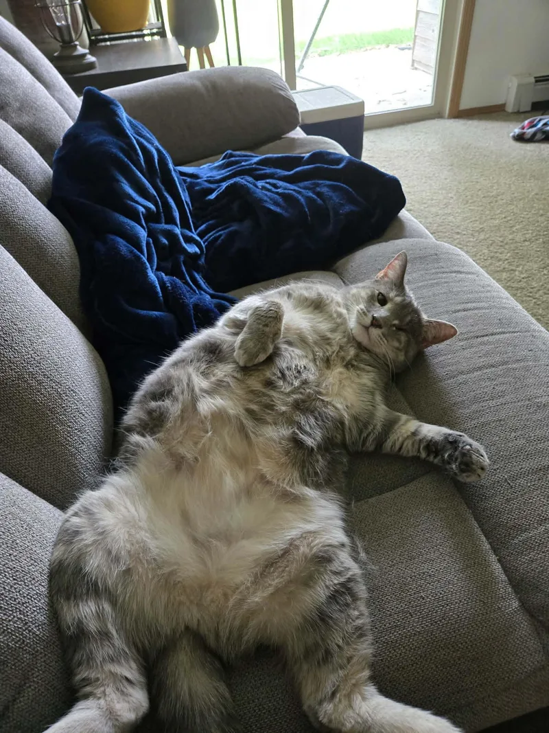 Hazel thumbnail 3