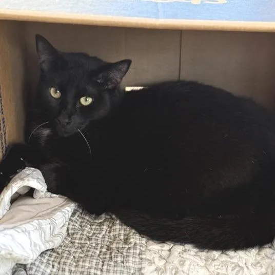 Mr. Buford thumbnail 2