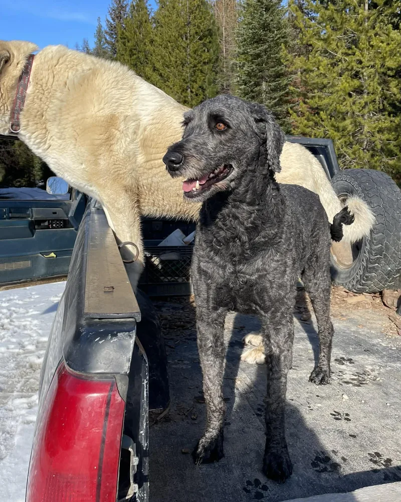 Heidi  Courtesy Listing thumbnail 2