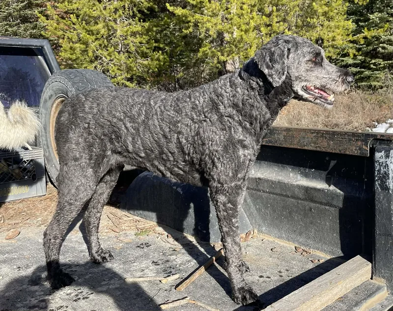 Heidi  Courtesy Listing thumbnail 4