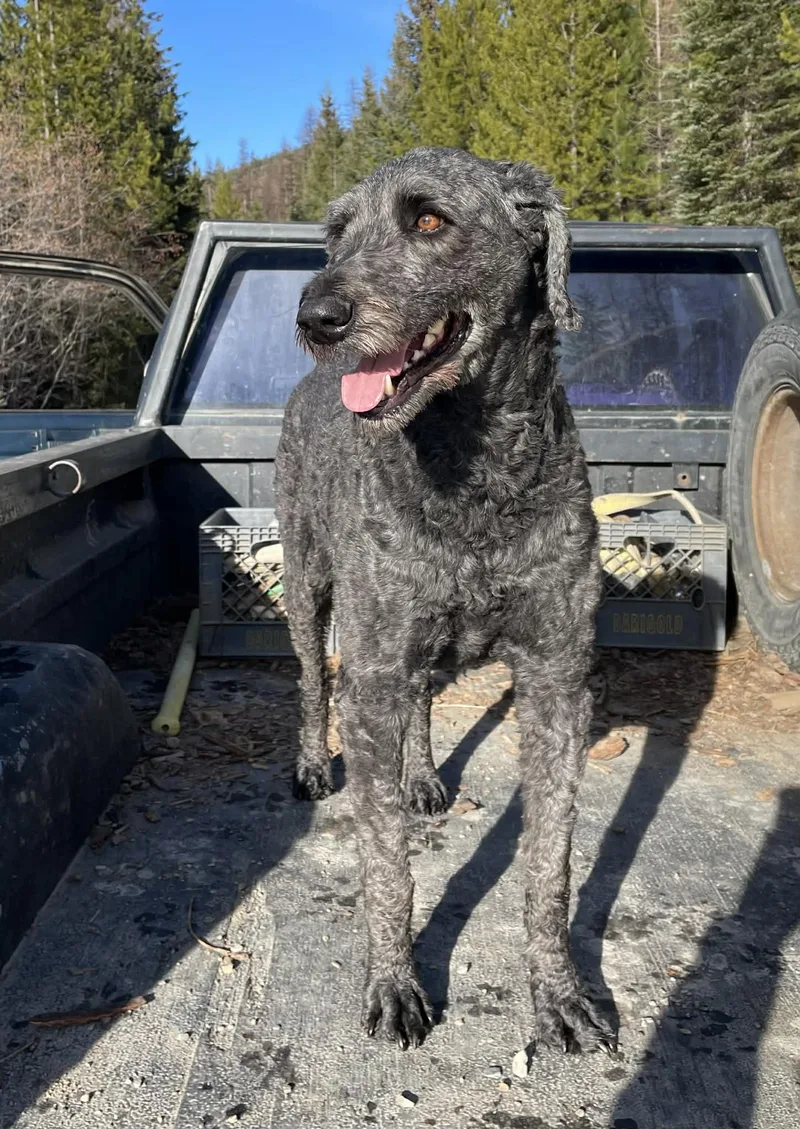 Heidi  Courtesy Listing thumbnail 5