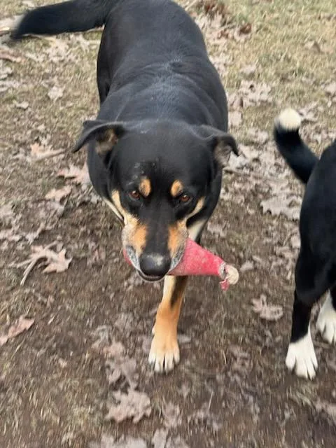 Keanu & Monte  thumbnail 2