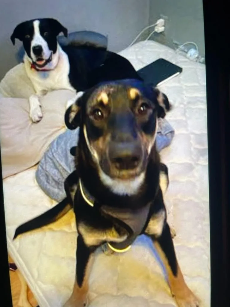 Keanu & Monte  thumbnail 3