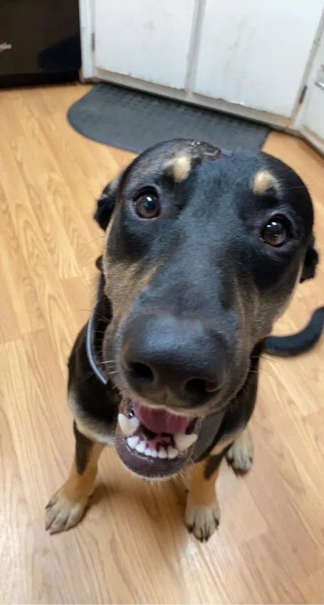 Keanu & Monte  thumbnail 4