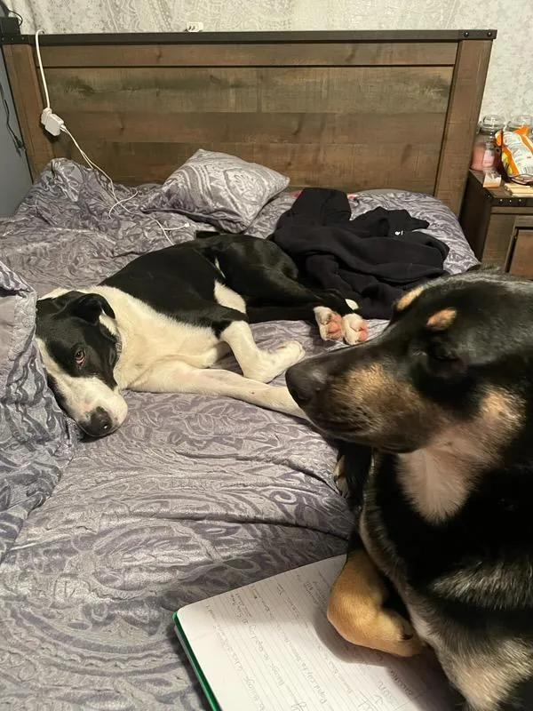 Keanu & Monte  thumbnail 5