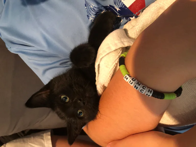 Kandy Kake thumbnail 3