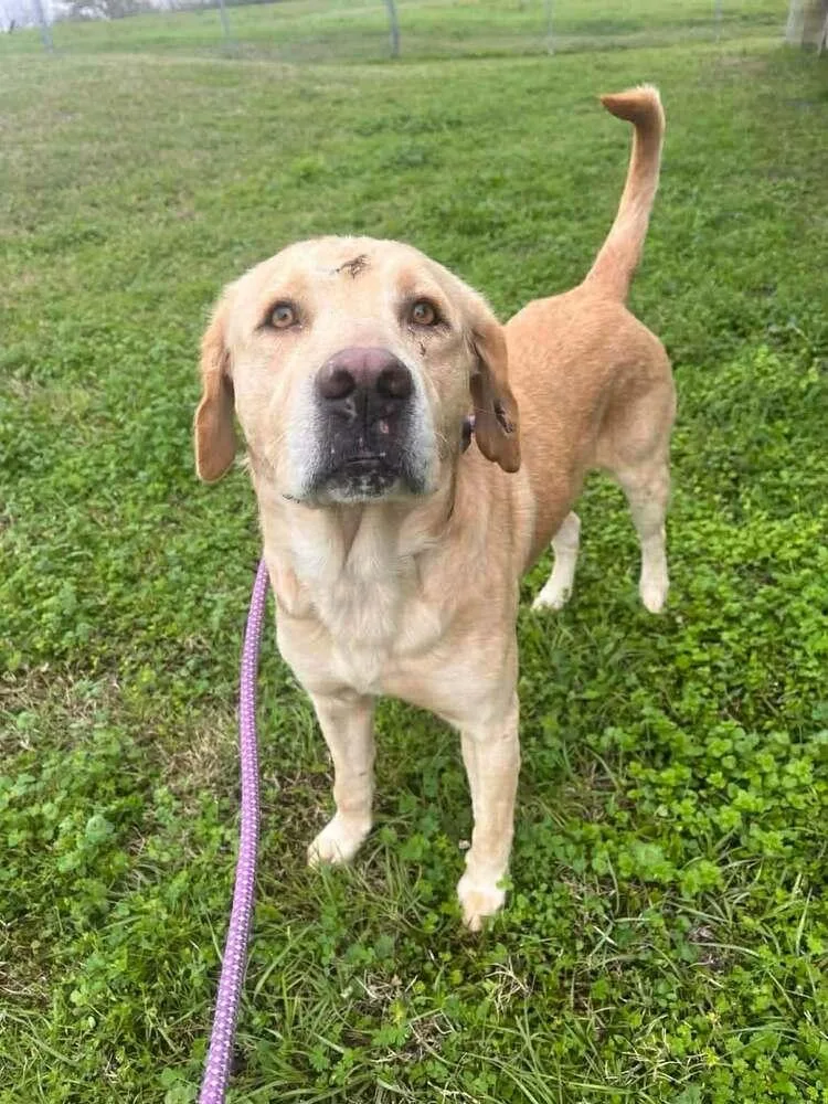 Prince B thumbnail 2