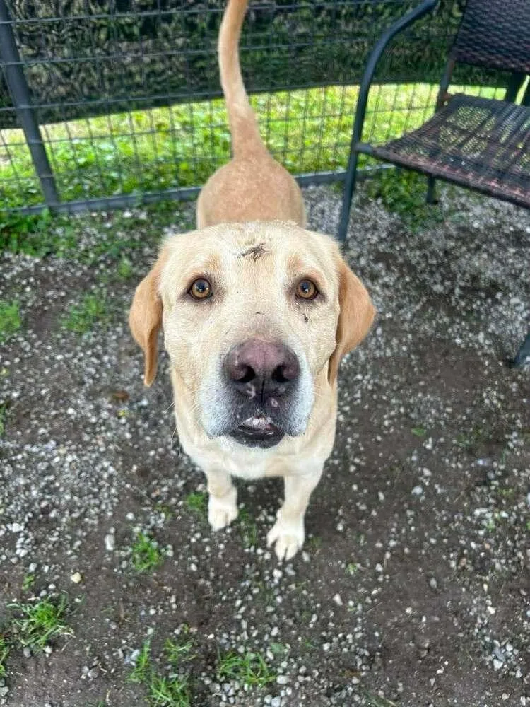 Prince B thumbnail 3