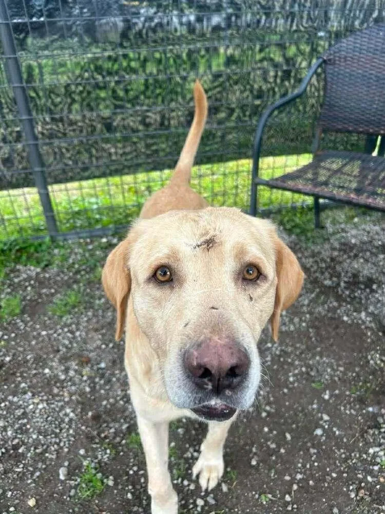 Prince B thumbnail 6