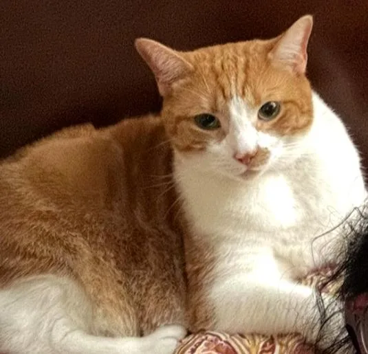 Rain  Psp thumbnail 3