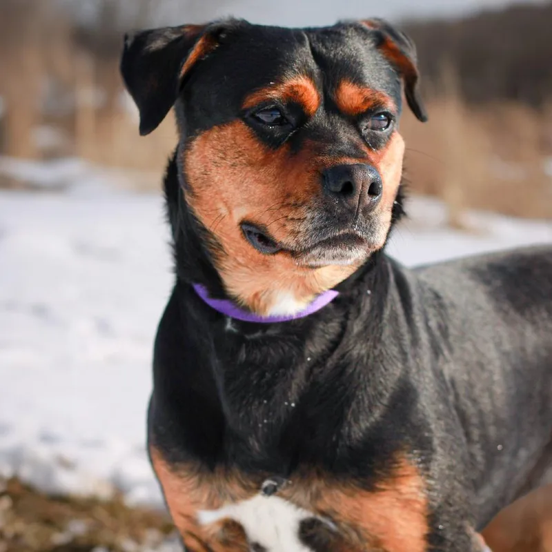 Karen From Hr thumbnail 2