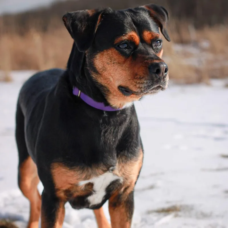 Karen From Hr thumbnail 3