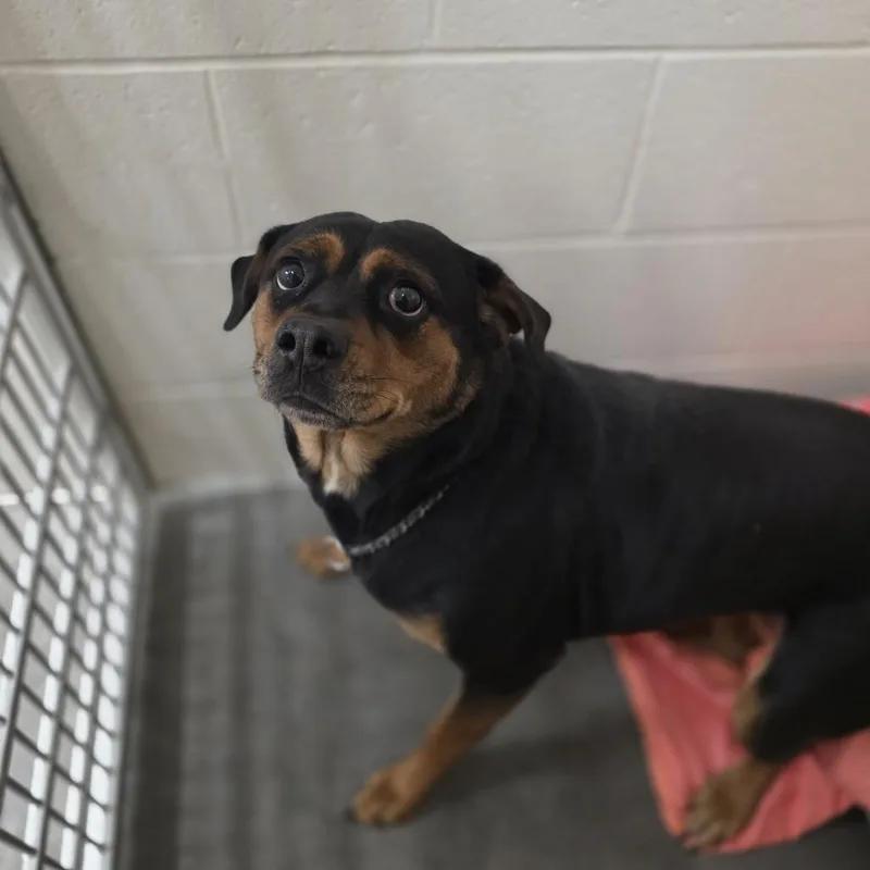 Karen From Hr thumbnail 4