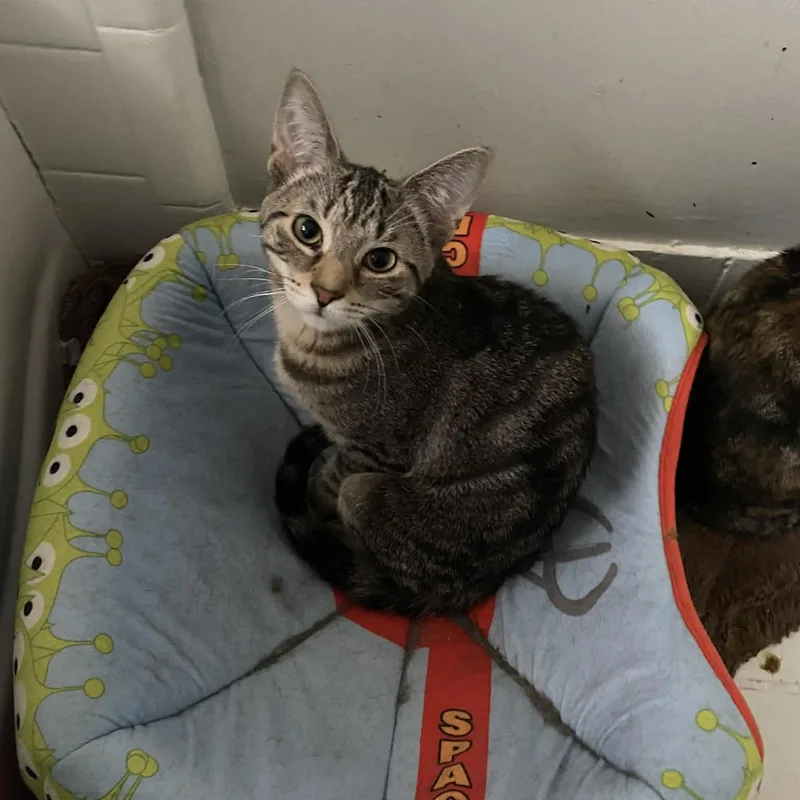 Laura & Natalie thumbnail 2