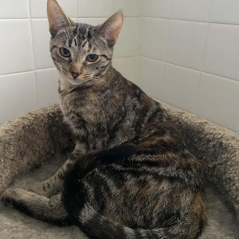 Laura & Natalie thumbnail 4