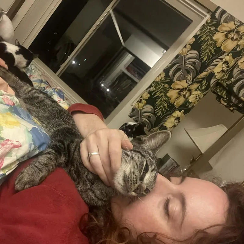 Maverick thumbnail 5