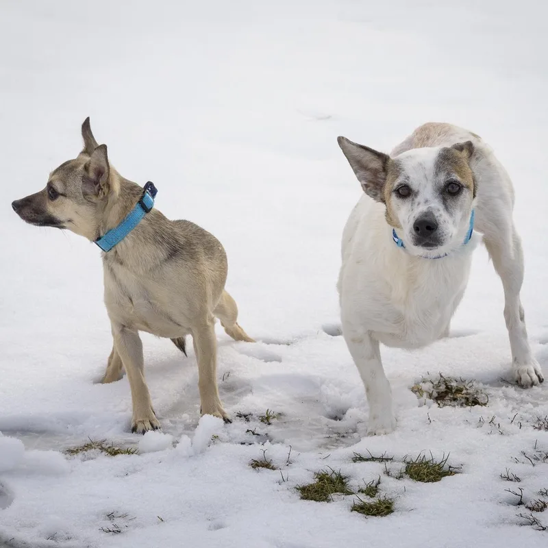Roxanne & Abigail  thumbnail 2