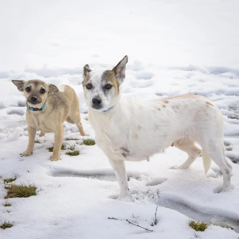 Roxanne & Abigail  thumbnail 3