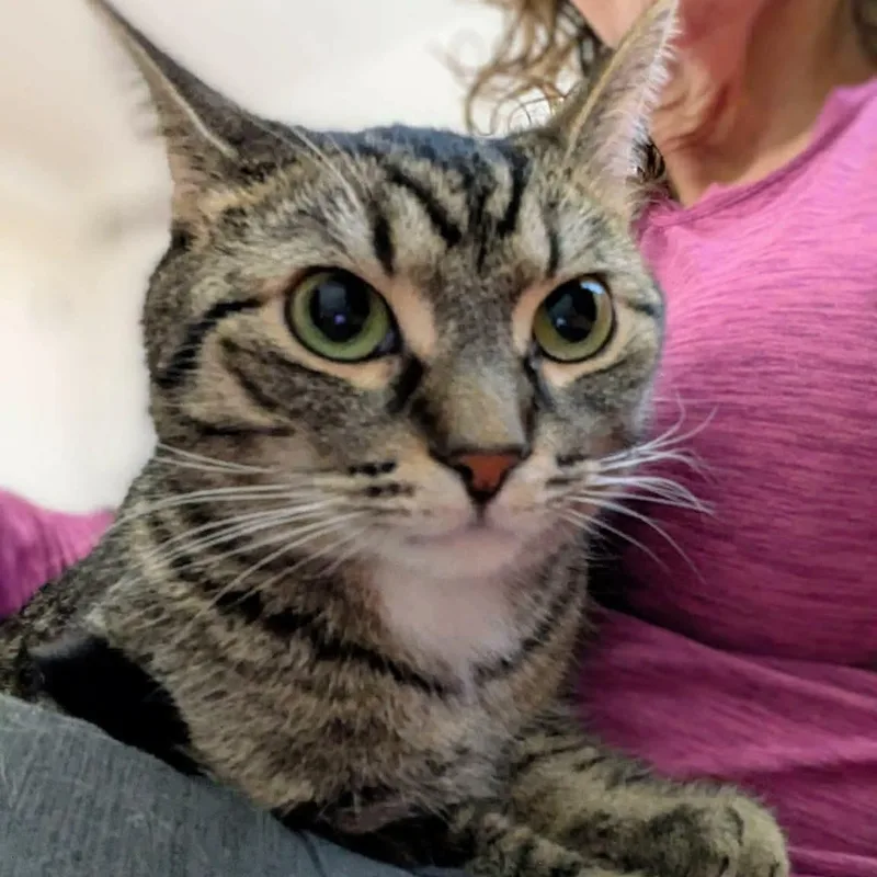 Raven & Jack Fruit thumbnail 3