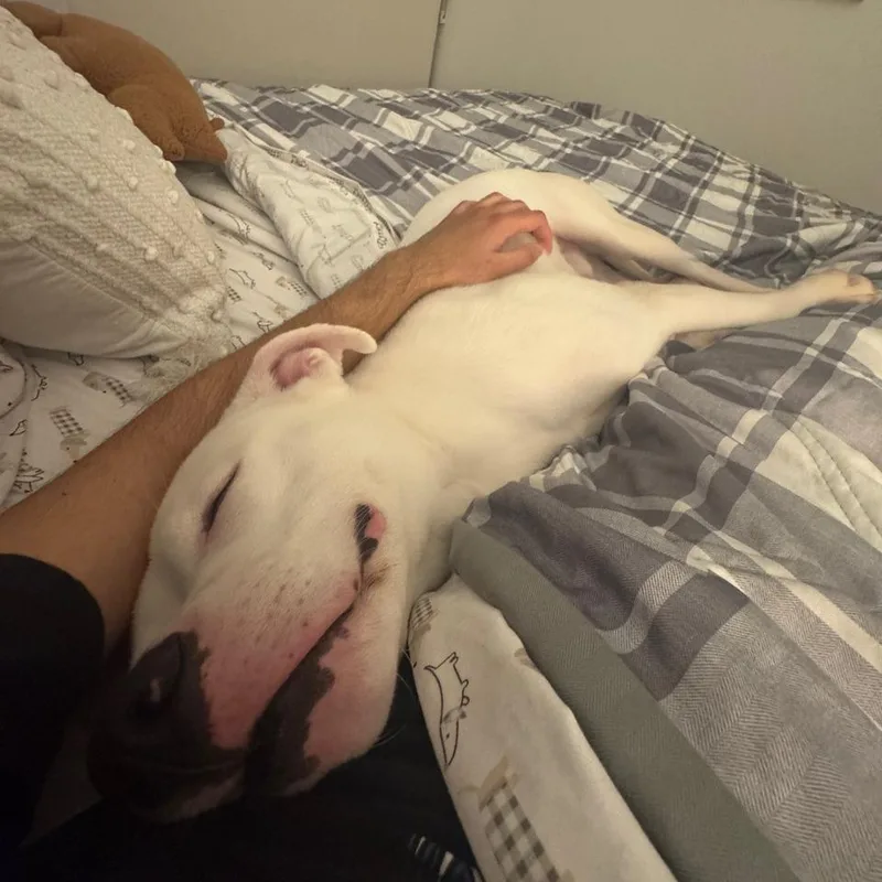 Slim Shady thumbnail 2