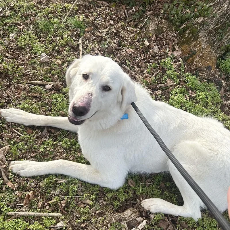 Rosie The Riveter thumbnail 5