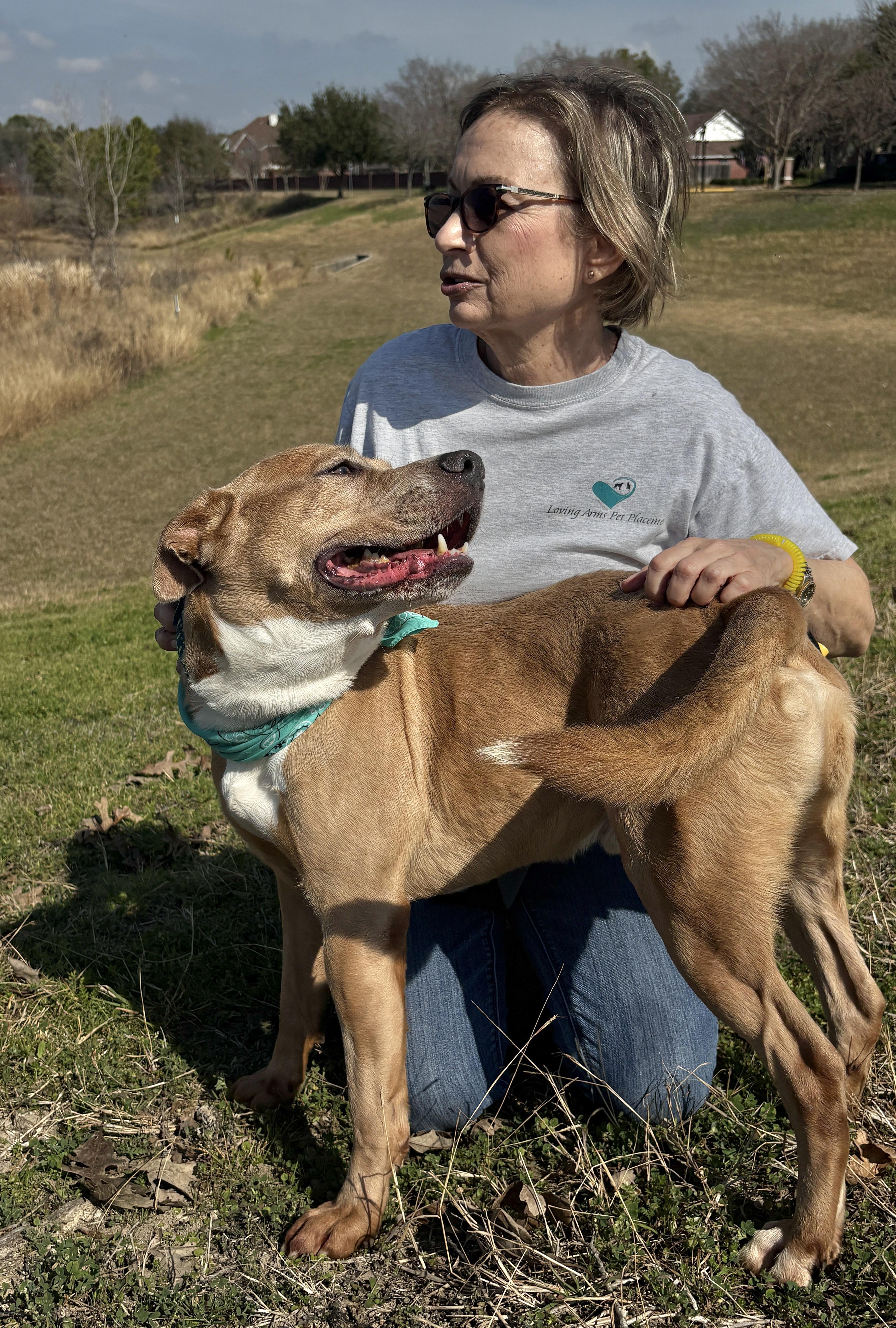 Helmut Great Companion thumbnail 2