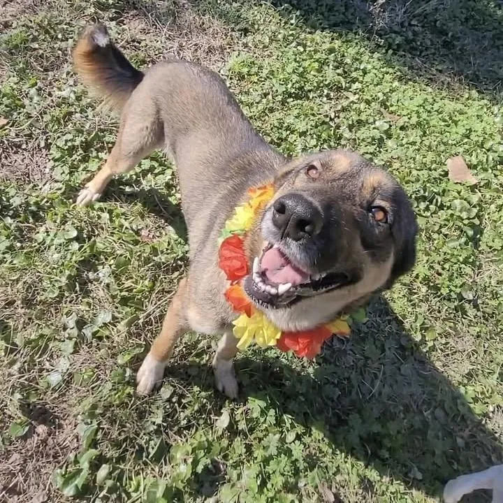 Lola A 💜🤍 thumbnail 2