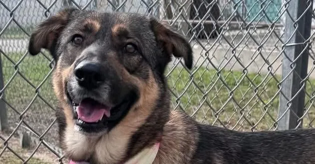 Lola A 💜🤍 thumbnail 3