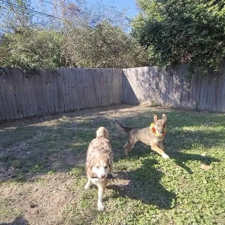 Lola A 💜🤍 thumbnail 4