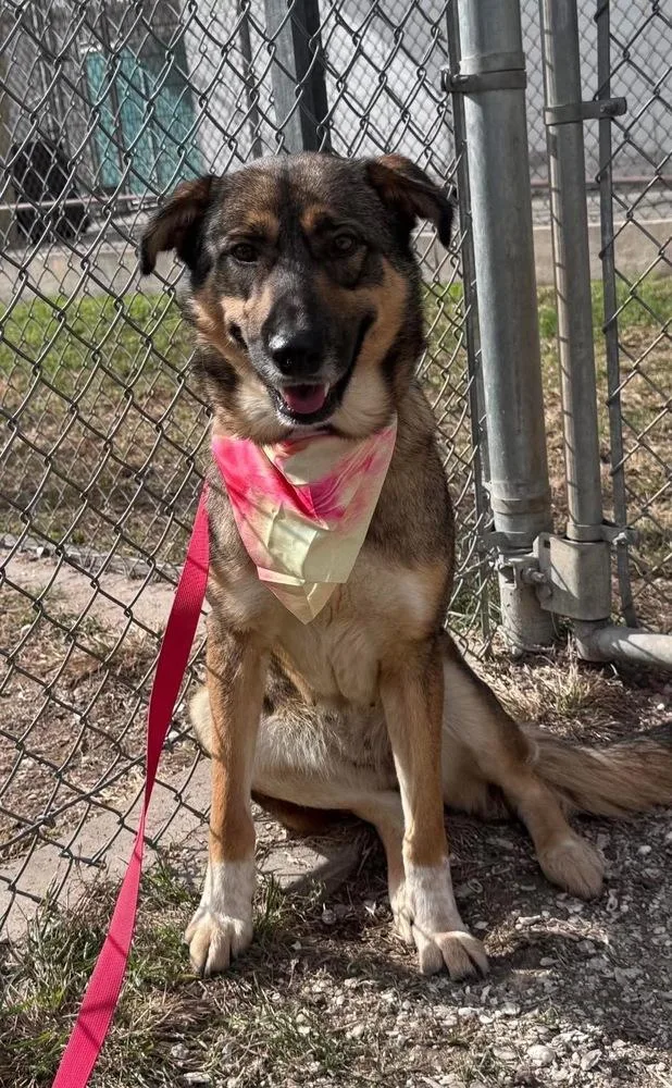 Lola A 💜🤍 thumbnail 5