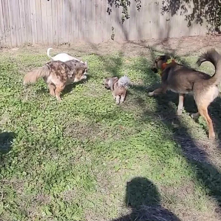 Lola A 💜🤍 thumbnail 6