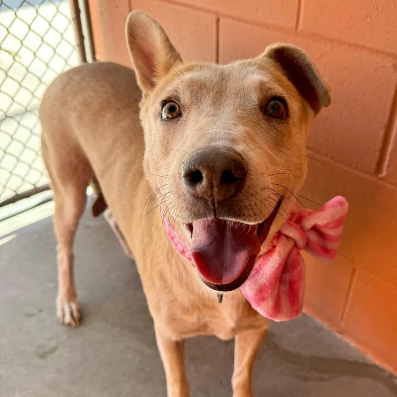 Sourdough thumbnail 2