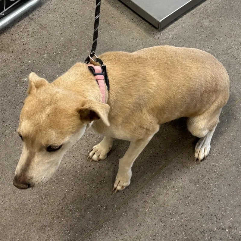 Sourdough thumbnail 3