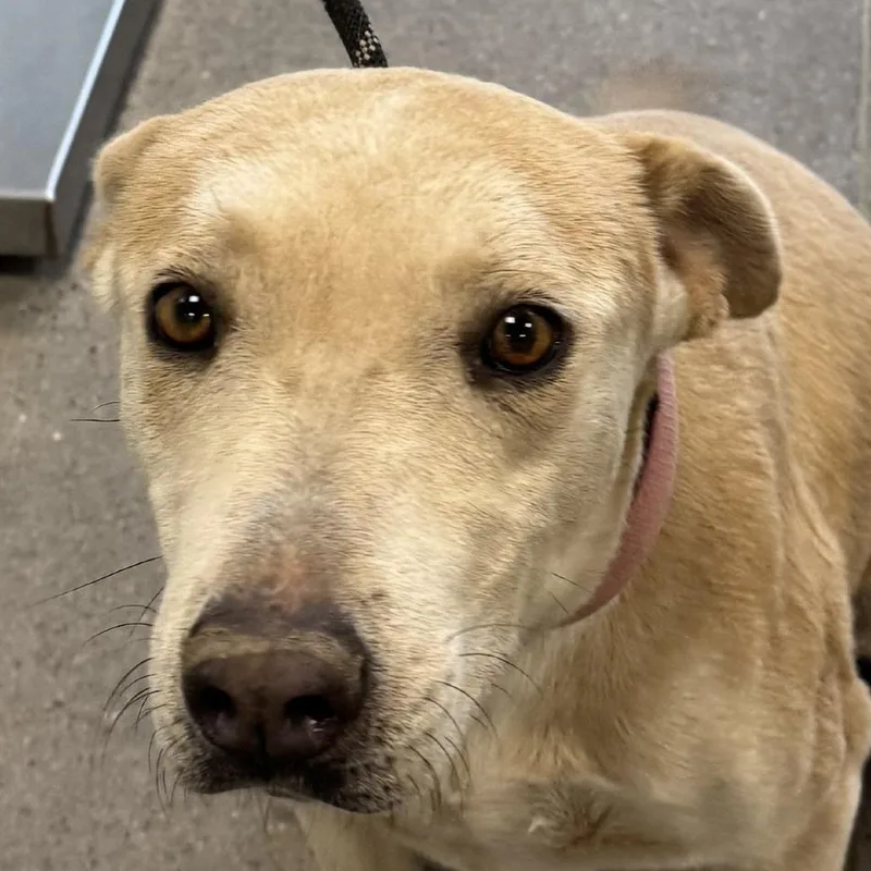 Sourdough thumbnail 4