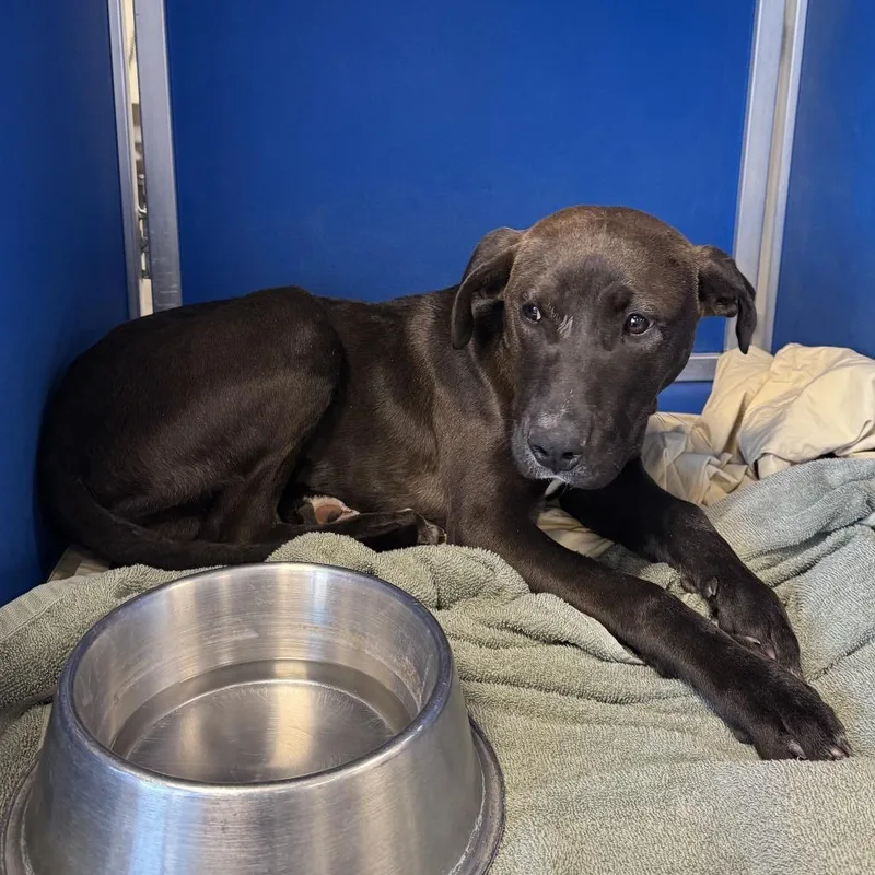 Fernando thumbnail 2