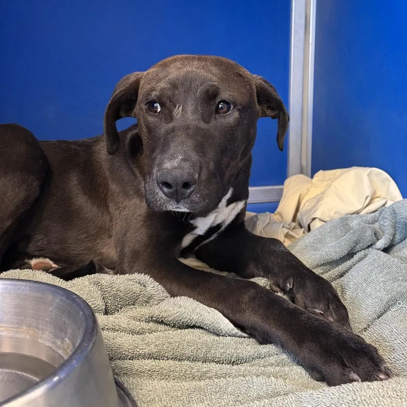 Fernando thumbnail 3