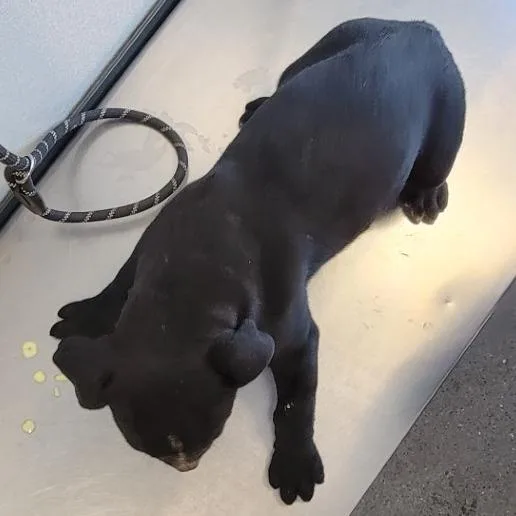 Jonathan thumbnail 2