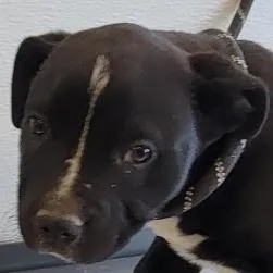 Jonathan thumbnail 3