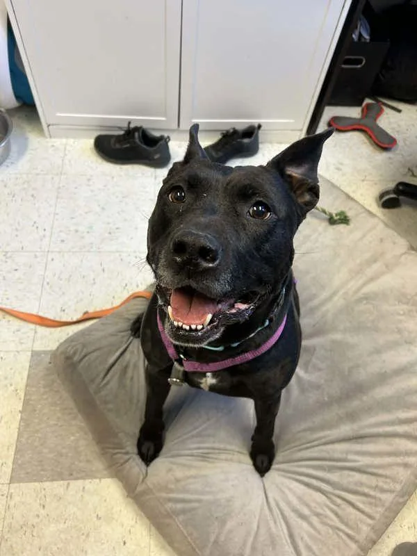 Cairo Leon thumbnail 3